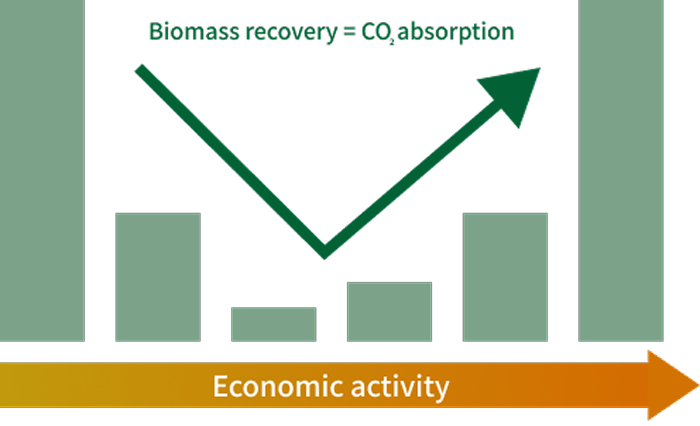 The first step — Agroforestry